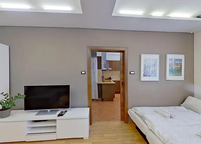 2br With Garage Parking, Walking To Centre And Stadiums Appartement